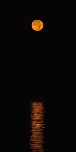 Reflection,Full Moon,Darkness,Dark,Night,Moon