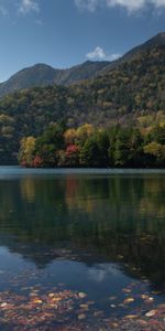 Naturaleza,Bosque,Cerro,Loma,Reflexión