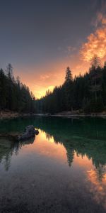 Reflection,Lake Braies,Lake Bries,Lake,Trees,Nature,Italy