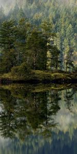 Reflection,Lake,Island,Fog,Forest,Nature