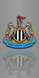 Reflection,Logo,Logotype,Newcastle United,Sports,Football