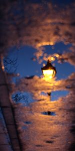 Reflection,Miscellanea,Miscellaneous,Asphalt,Puddle,Lamp,Lantern