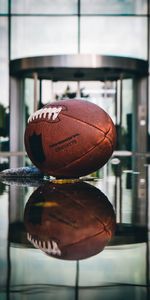 Reflection,Miscellanea,Miscellaneous,Ball,Rugby,Sports