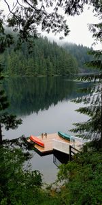 Nature,Arbres,Réflexion,Forêt,Jetée,Lac