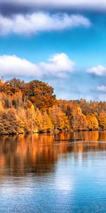 Réflexion,Réflexions,Lac,Nature,Automne,Arbres