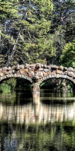 Reflection,Rivers,Trees,Bridge,Nature