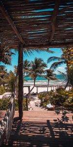 Relaxation,Beach,Rest,Nature,Palms,Summer,Tropics