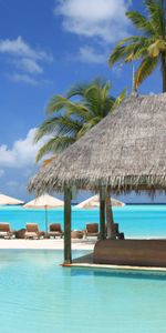 Rest,Beds,Relaxation,Sun Loungers,Pool,Miscellanea,Palms,Miscellaneous