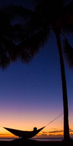 Rest,Hammock,Night,Relaxation,Tropics,Palms,Silhouettes,Dark