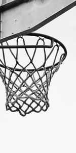 Ring,Bw,Chb,Sports,Basketball,Grid