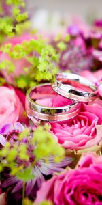 Rings,Bouquet,Holidays,Roses,Wedding