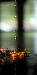 Anillos,Drops,Macro,Rociar,Amor