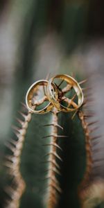 Boda,Anillos,Amor