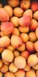 Ripe,Apricots,Food,Fruits,Harvest