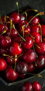 Ripe,Cherries,Drops,Berries,Wet,Harvest,Food