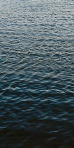 Ripple,Ripples,Wavy,Nature,Water,Glare,Waves