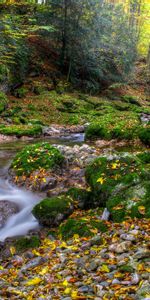 River,Stones,Autumn,Forest,Landscape,Nature