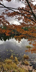 Rivers,Autumn,Landscape