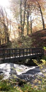 Rivers,Autumn,Sun,Bridge,Opening,Nature,Lumen,Forest