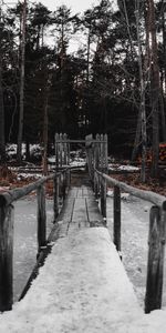 Nature,Glace,Forêt,Pont,Rivières