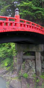 Rivers,Bridge,Trees,Nature