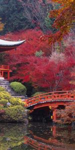 Paisaje,Ríos,Otoño,Puentes,Asia