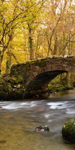 Paisaje,Ríos,Árboles,Puentes