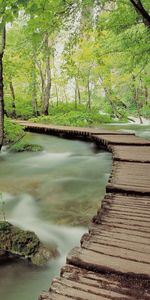 Rivières,Arbres,Nature,Bridges,Paysage