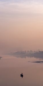 Rivers,Fog,Windless,Calm,Nature,Boat,Lonely,Silence,Alone