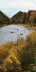 Ríos,Las Colinas,Naturaleza,Otoño,Bosque,Colinas