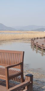 Rivers,Grass,Bay,Nature,Bench