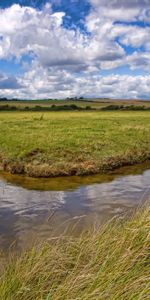 Rivers,Grass,Channel,Field,Sunny,Nature