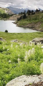 Rivers,Grass,Landscape