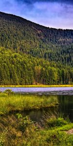 Rivers,Grass,Mountains,Nature,Trees