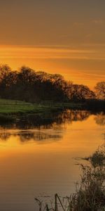 Rivers,Grass,Shine,Nature,Light