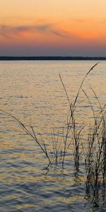 Nature,Herbe,Sky,Vent,Rivières