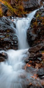 Herbe,Eau,Noyaux,Nature,Rivières,Couler,Ruisseau