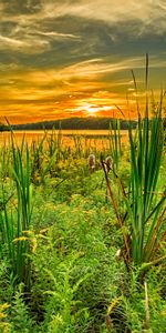 Rivers,Grass,Summer,Horizon,Nature,Sunset