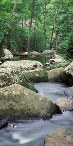 Rivers,Landscape