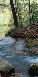 Rivers,Landscape