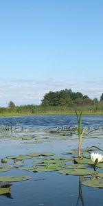 Rivières,Paysage