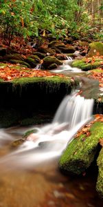 Rivers,Landscape