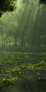 Rivers,Landscape