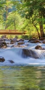 Rivers,Landscape