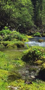 Rivers,Landscape,Nature,Forest