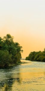 Rivers,Landscape,Palms