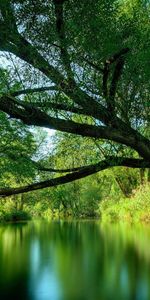 Rivers,Landscape,Trees