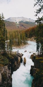 Montagne,Forêt,Nature,Rivières,Cascade