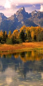 Montagnes,Arbres,Rivières,Paysage