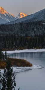 Nature,Forêt,Rivières,Montagnes,Paysage